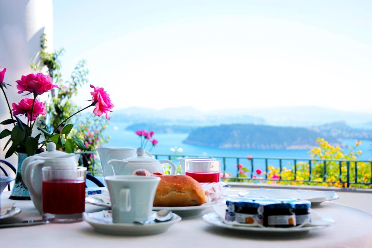 La Pergola Del Torchio Bed & Breakfast Ischia Dış mekan fotoğraf