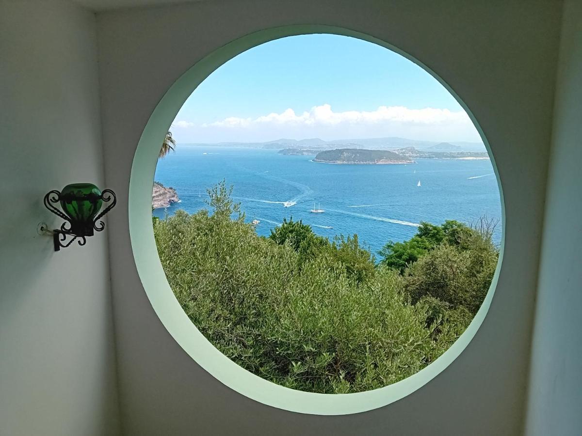 La Pergola Del Torchio Bed & Breakfast Ischia Dış mekan fotoğraf